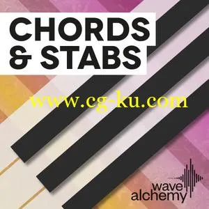 音效下载Wave Alchemy Chords and Stabs MULTiFORMAT的图片1