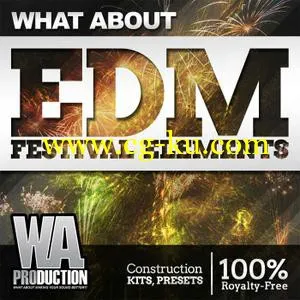 音效下载WA Production What About EDM Festival Elements MULTiFORMAT的图片1