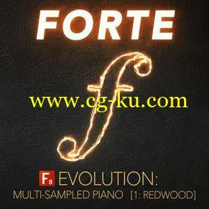 音效下载F9 Audio – FORTE Evolution Piano: 1 Redwood For Ableton Live的图片1