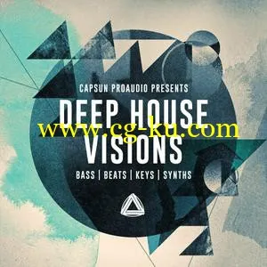 音效下载CAPSUN ProAudio Deep House Visions WAV的图片1