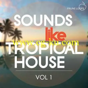 音效下载Prune Loops Sounds Like Tropical House Vol 1 WAV MiDi的图片1