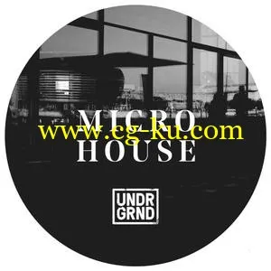 音效下载Undrgrnd Sounds Micro House WAV REX AiFF的图片1