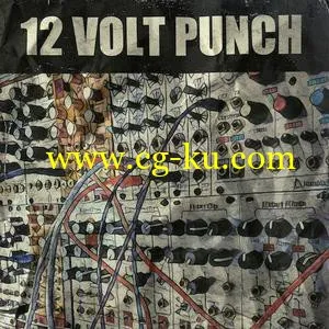 音效下载Goldbaby 12 Volt Punch Modular Drums and FX MULTiFORMAT的图片1