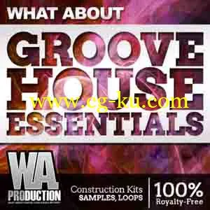 音效下载WA Production What About Groove House Essentials ACiD WAV MiDi的图片1