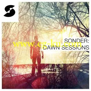 音效下载Samplephonics Sonder Dawn Sessions MULTiFORMAT的图片1