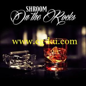 音效下载The Drum Sample Broker Shroom – On the Rocks WAV的图片1