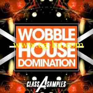 音效下载Class A Samples Wobble House Domination MULTiFORMAT的图片1