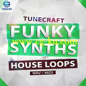 音效下载Tunecraft Sounds Funky Synths House Loops WAV MiDi的图片1