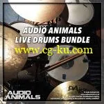 音效下载Audio Animals - Live Drums Bundle KONTAKT WAV的图片1