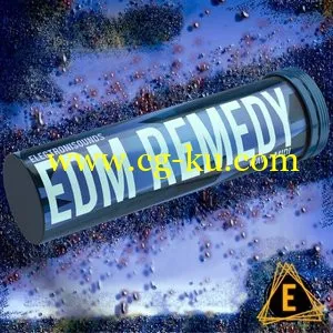 ElectroniSounds EDM Remedy WAV MiDi的图片1