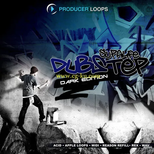 Producer Loops Supalife Dubstep Dark Edition ACID WAV-P2P的图片1