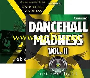 Ueberschall Dancehall Madness Vol 1  2 VSTi RTAS AU HYBRID DVDR-DYNAMiCS的图片1