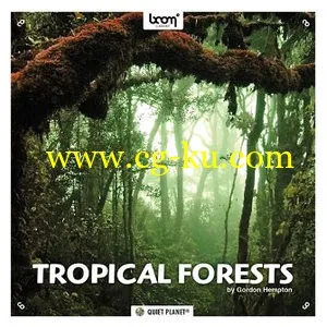 Boom Library Tropical Forests WAV的图片1