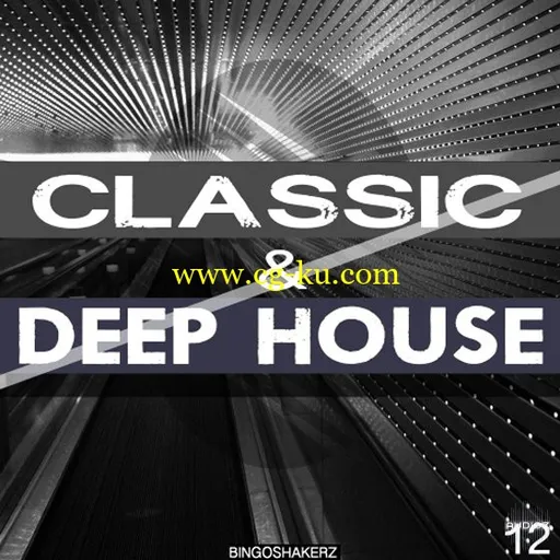 Bingoshakerz Classic and Deep House WAV MiDi AiFF-AUDIOSTRiKE的图片1