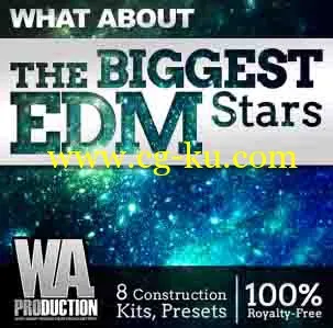 WA Production What About The Biggest EDM Stars WAV MiDi FXP-DISCOVER的图片1