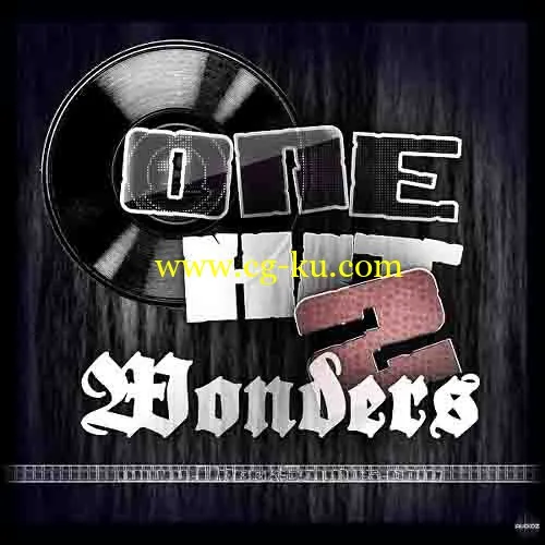 Uneek Sounds One Hit Wonders 2 MULTiFORMAT-AUDIOSTRiKE的图片1