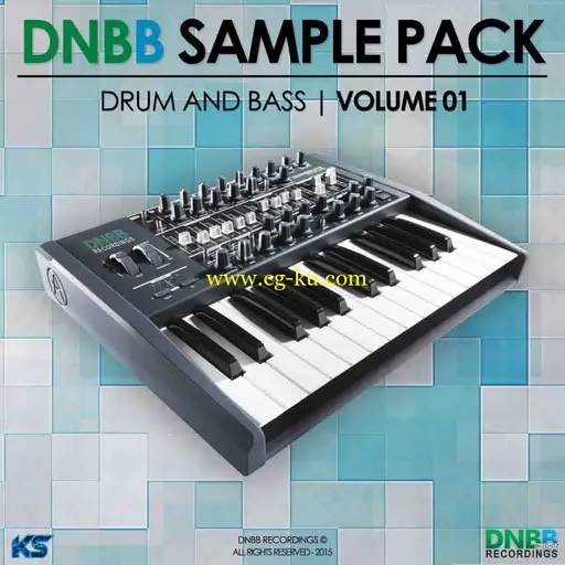 DNBB Recordings Drum And Bass Vol.1 WAV-AUDIOSTRiKE的图片1