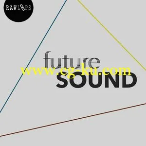 Raw Loops Future Sound WAV的图片1