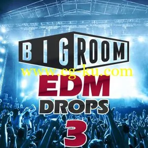 Mainroom Warehouse Big Room EDM Drops 3 WAV MiDi的图片1