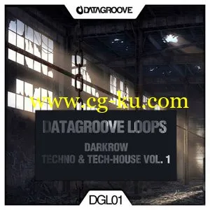 Datagroove Loops Darkrow Techno and Tech-House Vol.1的图片1