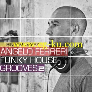 Bingoshakerz Angelo Ferreri Funky House Grooves 2 WAV的图片1