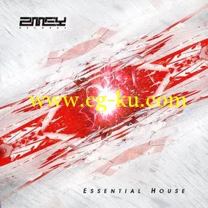 Zmey Records Essential House WAV MiDi的图片1