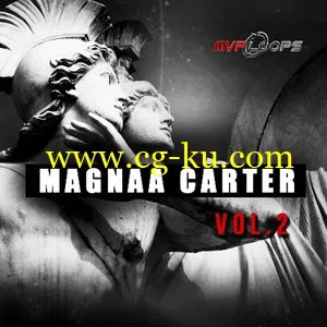 MVP Loops Magnaa Carter Vol.2 MULTiFORMAT的图片2