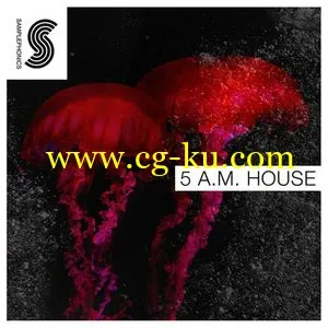 Samplephonics Luka 5 Am House MULTiFORMAT的图片1