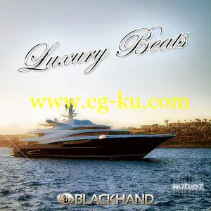 Black Hand Loops Luxury Beats MULTiFORMAT的图片1