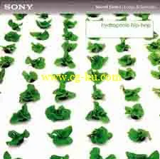 Sony Creative Hydroponic Hip Hop WAV-P2P的图片1