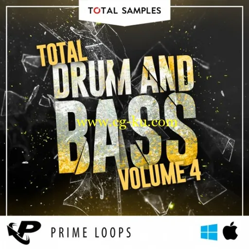 Total Samples Total Drum Bass Vol.4 MULTiFORMAT的图片1