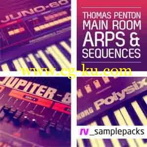 RV Samples Thomas Penton Main Room Arps Sequences [WAVMiDi]的图片1