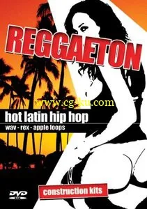 Big Fish Audio Reggaeton Hot Latin Hip Hop MULTIFORMAT的图片1