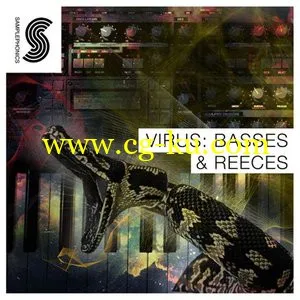 Samplephonics VirusBass and Reeces MULTiFORMAT的图片1