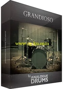 Analogue Drums Grandioso NKI WAV EXS24的图片1