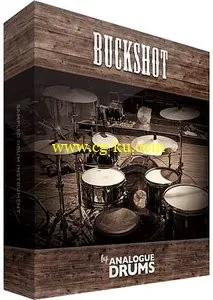 Analogue Drums BuckShot NKI WAV EXS24的图片1