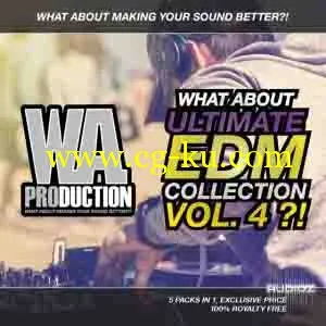 WA Production What About Ultimate EDM Collection Vol.4 WAV MiDi Sylenth1 SPiRE的图片1