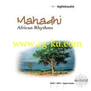 Big Fish Audio Mahadhi African Rhythms ACID WAV REX AIFF的图片1