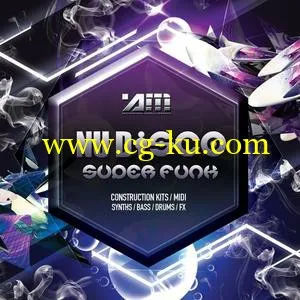 音效下载Audio Masters Nu Disco Superfunk WAV MiDi的图片1