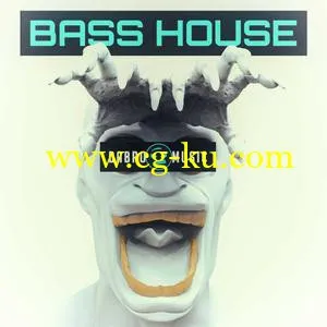 音效下载DABRO Music Bass House WAV MiDi的图片1