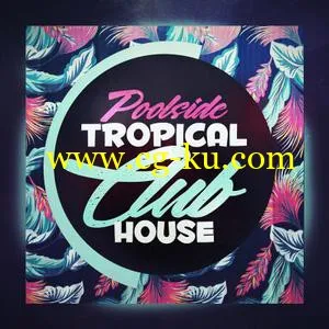 音效下载Mainroom Warehouse Poolside Tropical Club House WAV MiDi的图片1