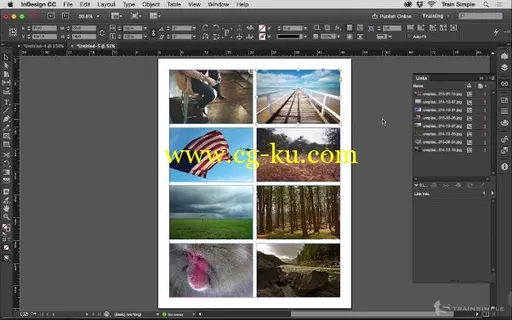 InDesign CC 掌握的图片1