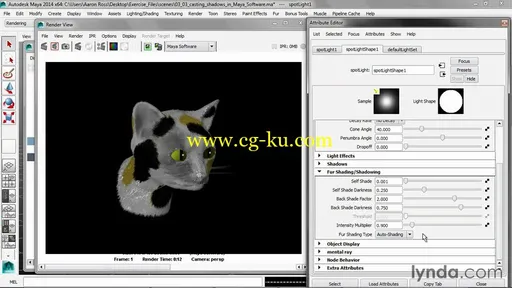 Maya毛发的技术视频教程Lynda – Creating Fur in Maya with Aaron F. Ross的图片1