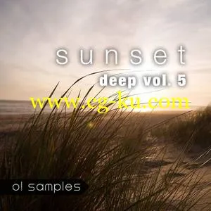 音效下载O! Samples Sunset Deep and Vocals Vol 5 WAV MiDi的图片1