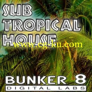 音效下载Bunker 8 Sub Tropical House WAV AiFF的图片1