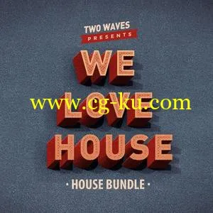 音效下载Two Waves We Love House WAV的图片1