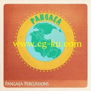 音效下载Patchbanks Pangaea Percussions WAV的图片1