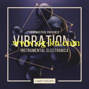 音效下载Loopmasters Vibrations Instrumental Electronica MULTiFORMAT的图片1