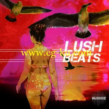 音效下载KARZ Lush Beats WAV的图片1