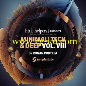 音效下载Samplestate Little Helpers Vol 8 – Ronan Portela MULTiFORMAT的图片1